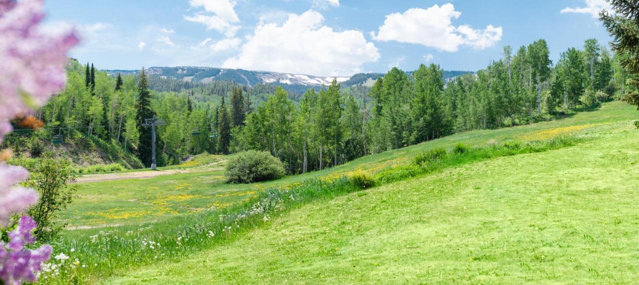 Laurelwood Condominiums Studio Premier Unit 307 Snowmass Village Exterior foto